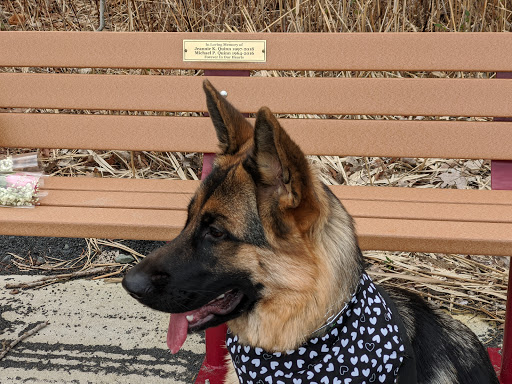 Park «Henry Hudson Trail / Popamora Point», reviews and photos, Shore Dr, Atlantic Highlands, NJ 07716, USA