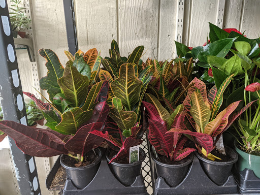 Florist «Cliff Park Florist», reviews and photos, 784 Anderson Ave, Cliffside Park, NJ 07010, USA