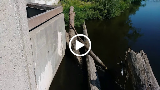 Tourist Attraction «Fish Ladder Park Grand Rapids», reviews and photos, 560 Front Ave NW, Grand Rapids, MI 49504, USA