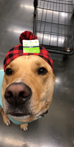 Pet Supply Store «Pet Supplies Plus», reviews and photos, 61 Irving Park Rd, Streamwood, IL 60107, USA