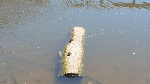 Nature Preserve «Indian Creek Nature Center», reviews and photos, 5300 Otis Rd, Cedar Rapids, IA 52403, USA