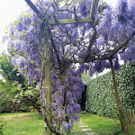 Photo n° 1 de l'avis de LAURENT.I fait le 04/05/2020 à 10:55 pour Carrefour Drive La Flèche à La Flèche