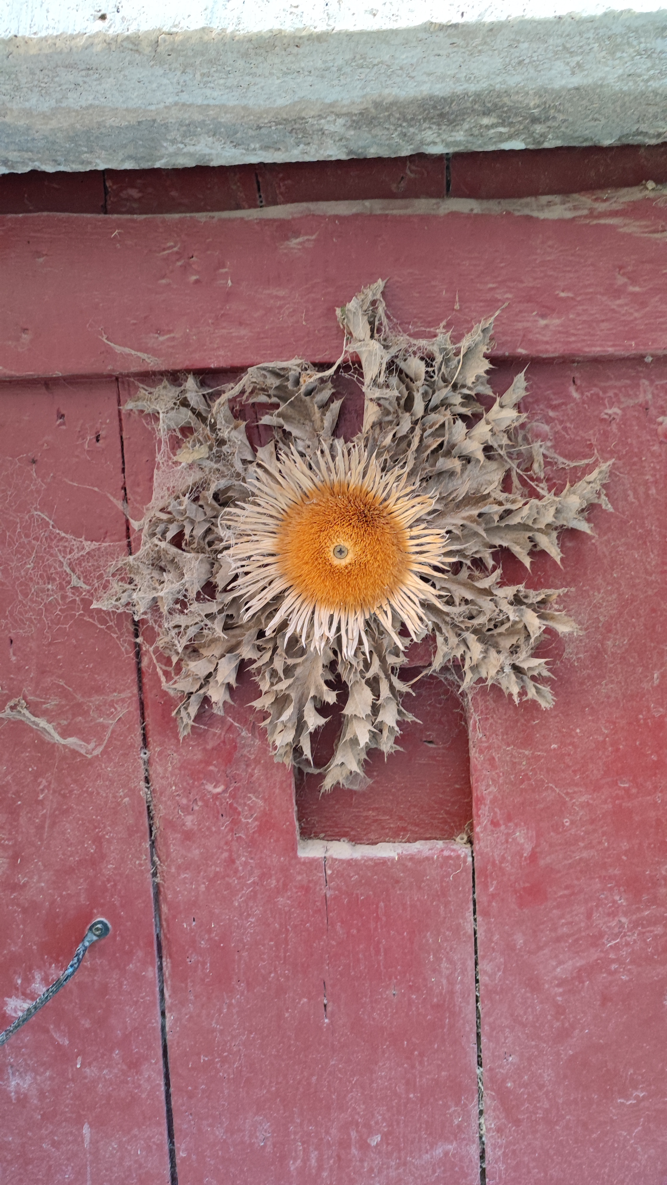 Photo n° 10 de l'avis de Jay.o fait le 30/09/2023 à 07:32