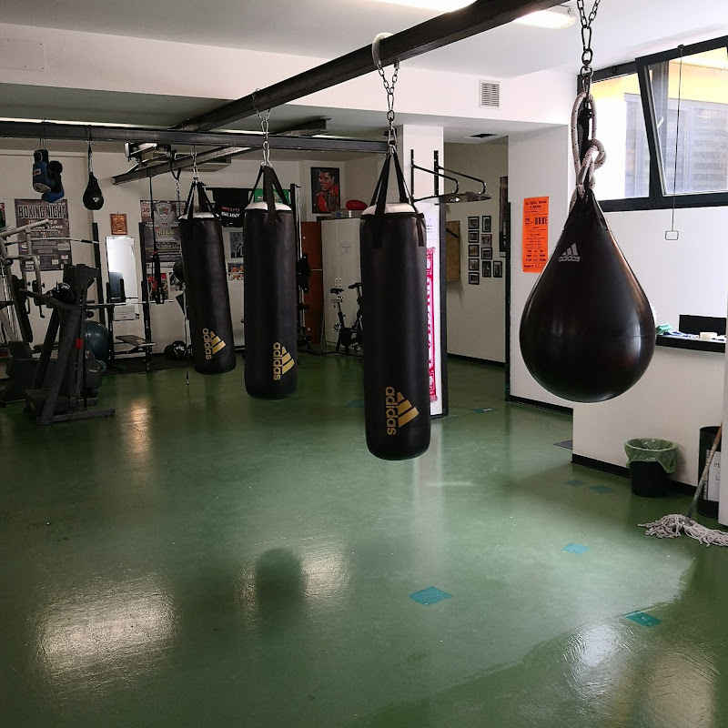 Apot 1928 Boxe Milano