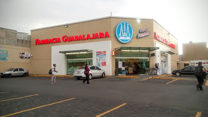 Farmacia Guadalajara, , Ejido San Francisco
