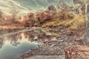 McDowell Grove - photo 42