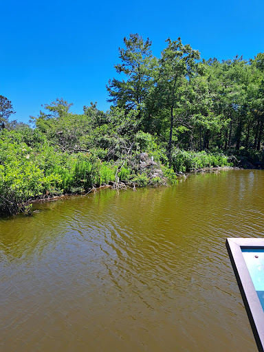 Park «Cypress Wetlands», reviews and photos, 1700 Paris Ave, Port Royal, SC 29935, USA