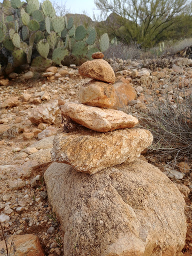 Tourist Attraction «Linda Vista Trail», reviews and photos, 730 E Linda Vista Rd, Oro Valley, AZ 85737, USA