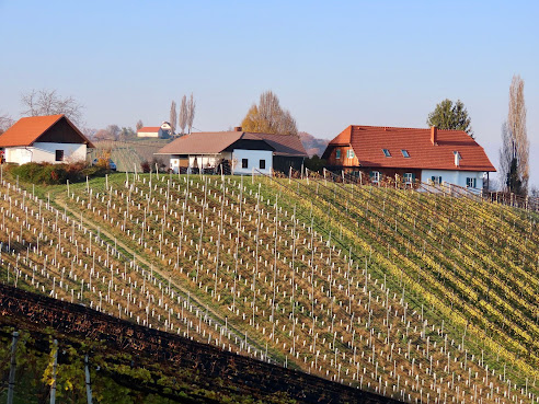 Ratsch an der Weinstraße by null