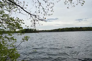 Spot Pond image