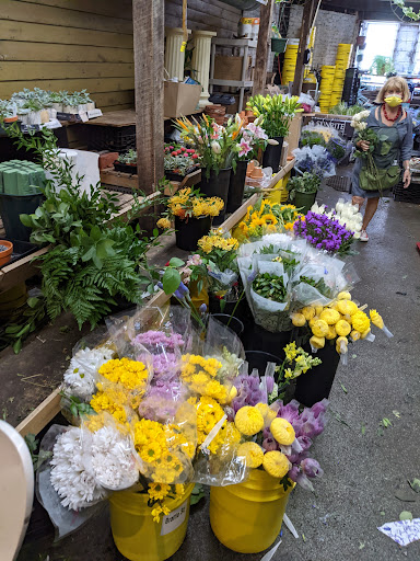 Florist «Brattle Square Florist», reviews and photos, 31 Brattle St, Cambridge, MA 02138, USA