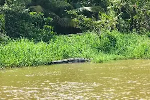 Crocodile Watching And River Safari Matara image