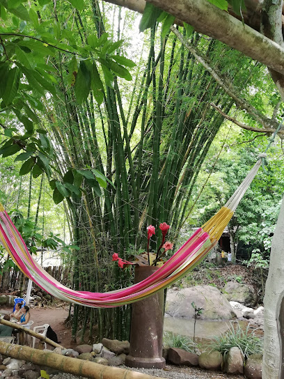 Heliconias el peñón - Manaure, Cesar, Colombia