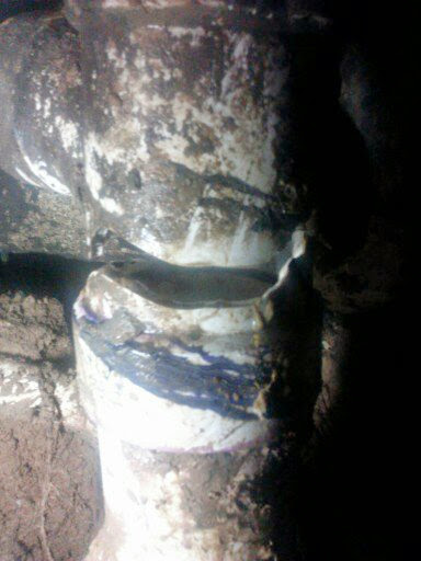 Plumber «Plumb Right Plumbing», reviews and photos, 12950 Bedford Falls Dr, Cypress, TX 77429, USA