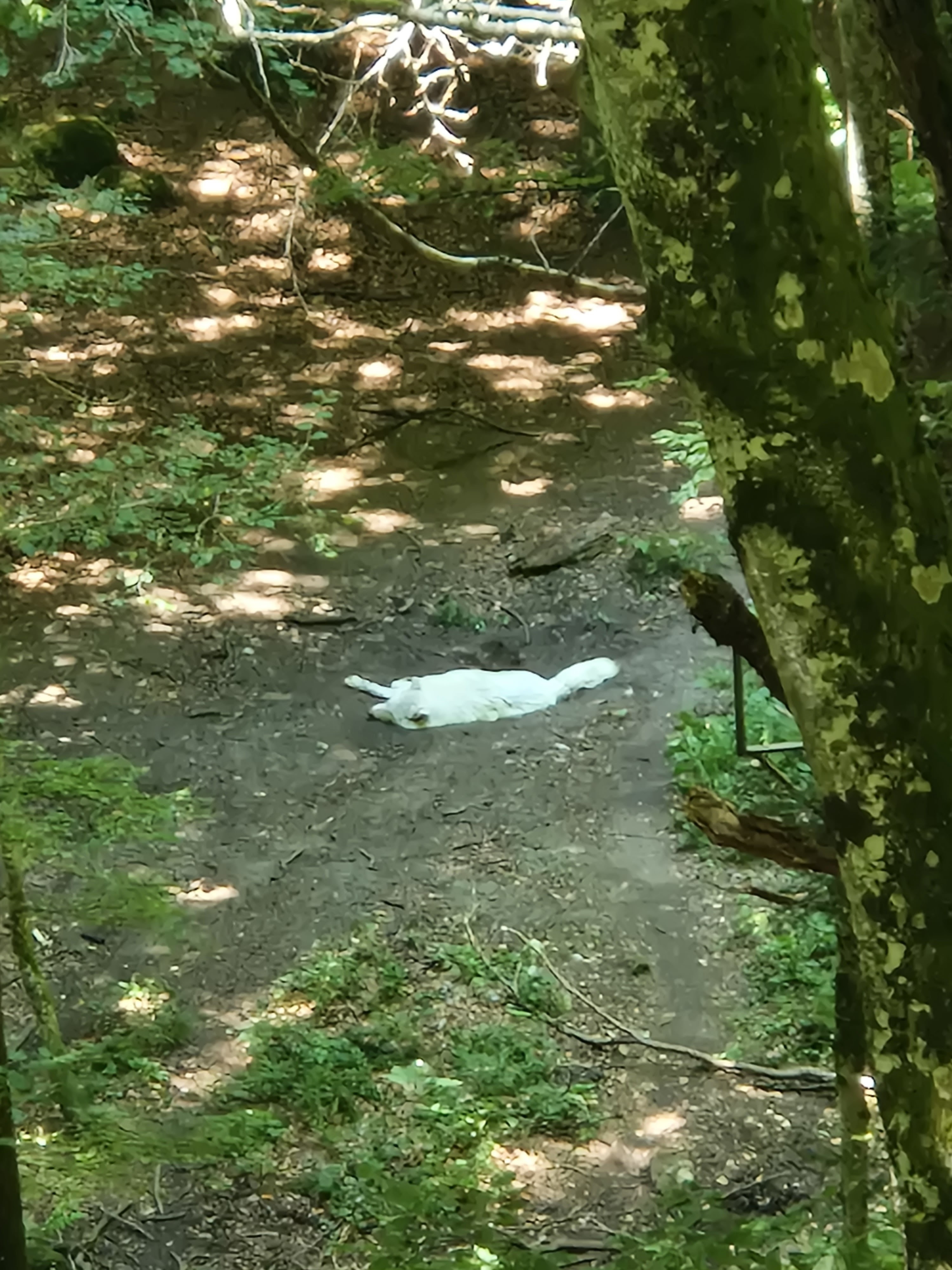 Photo n° 3 de l'avis de Virginie.N fait le 29/07/2022 à 21:03