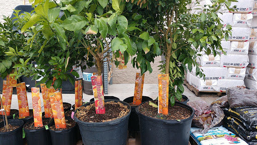 Home Improvement Store «Tractor Supply Co.», reviews and photos, 6945 US Hwy 98 N, Lakeland, FL 33809, USA