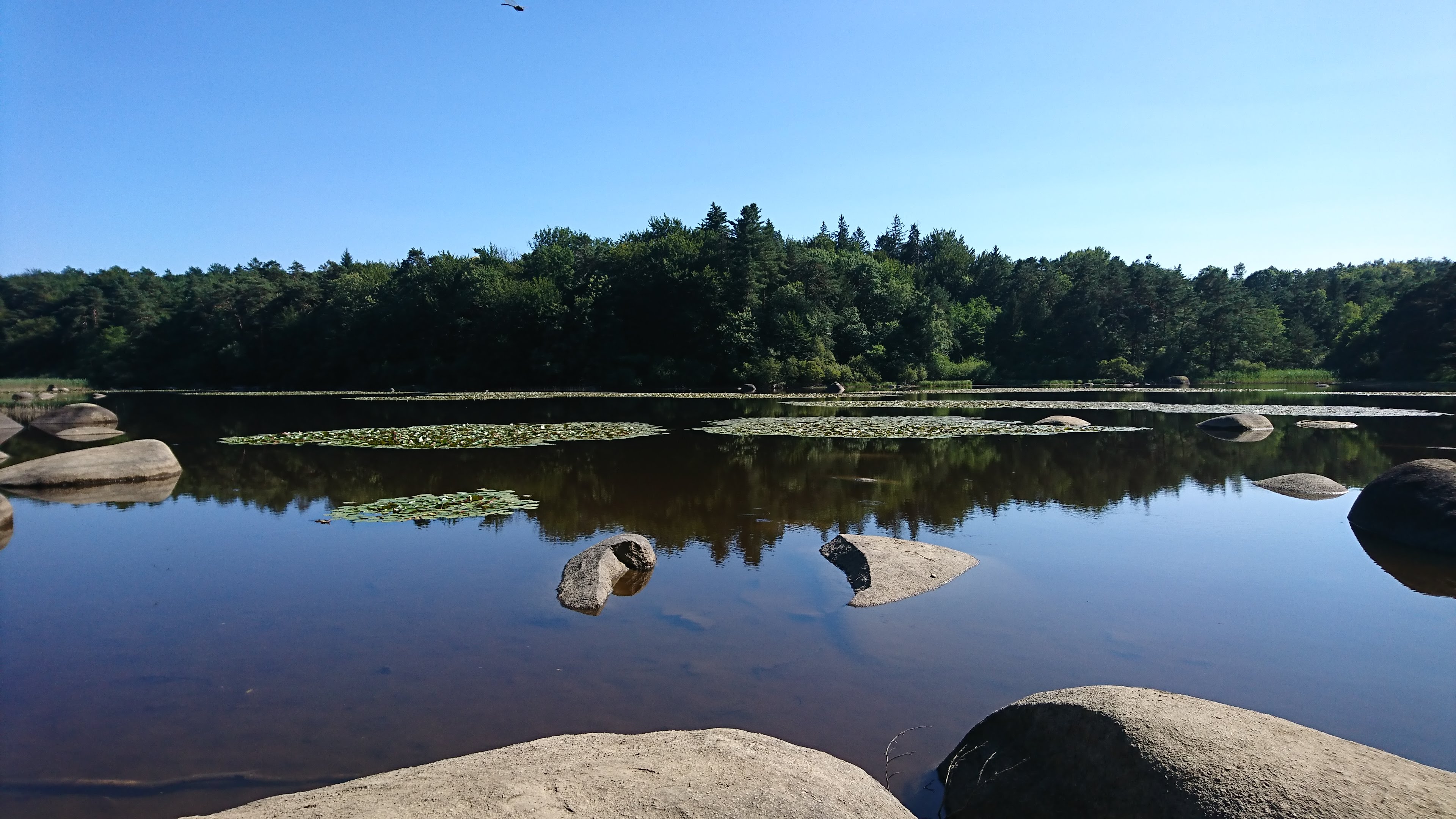 Photo n° 1 de l'avis de David.a fait le 23/07/2019 à 08:54