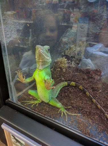 Pet Supply Store «Petco Animal Supplies», reviews and photos, 3055 N President George Bush Hwy, Garland, TX 75040, USA