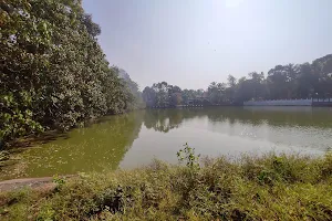 Maruthoor Kulangara Temple Pond image