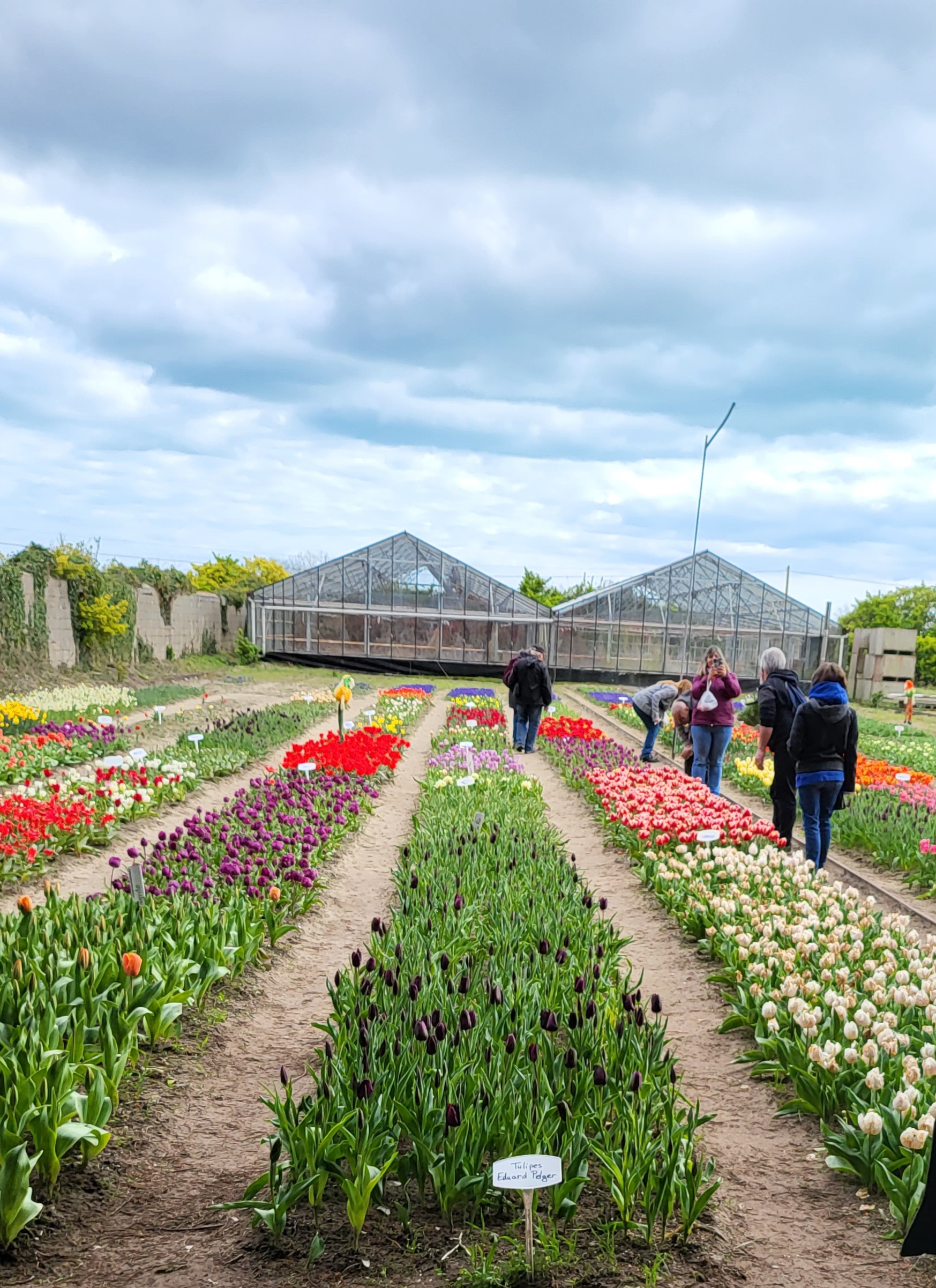 Photo n° 2 de l'avis de Armoni.L fait le 08/04/2023 à 16:17