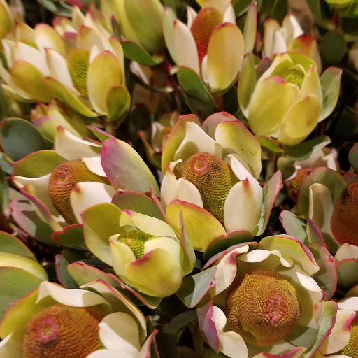 Florist «Designs By Rosa, Inc. Florist», reviews and photos, 140 S Wabash Ave, Chicago, IL 60603, USA