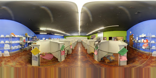 Pet Boarding Service «Pet Palace», reviews and photos, 2803 Trough Springs Rd, Clarksville, TN 37043, USA