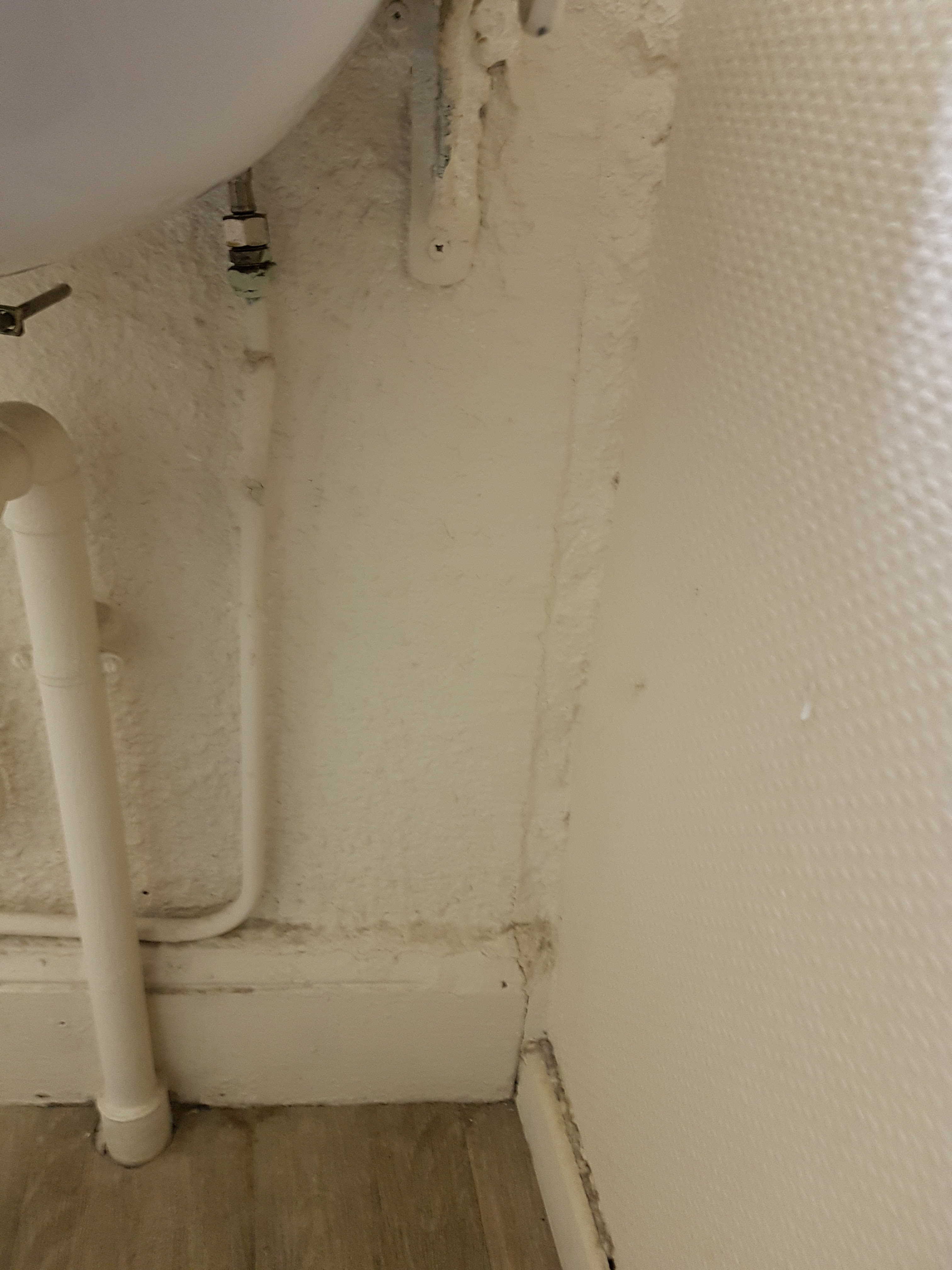 Photo n° 1 de l'avis de Yasmin.b fait le 11/08/2018 à 08:40