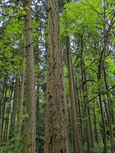 Park «Viewpoint Park», reviews and photos, 134th & NE 24th Street, Bellevue, WA 98005, USA