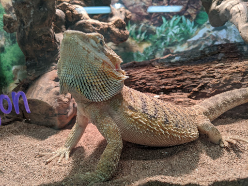 Pet Store «Pet World Warehouse Outlet», reviews and photos, 2148 W Beltline Hwy, Madison, WI 53713, USA