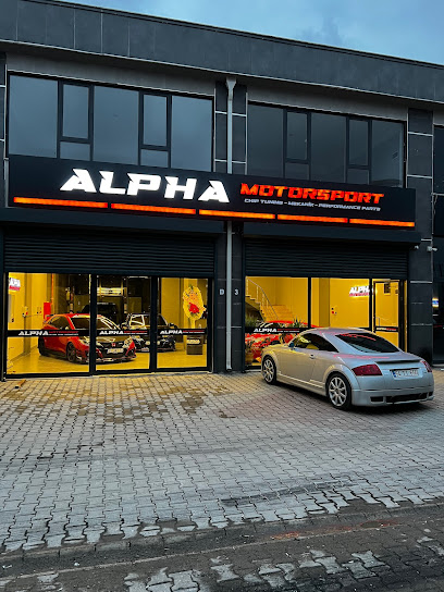Alpha Motorsport - Chip Tuning - Mekanik