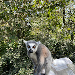 Photo n° 2 de l'avis de Philippe.U fait le 08/10/2023 à 15:47 pour Zoo Thoiry à Thoiry