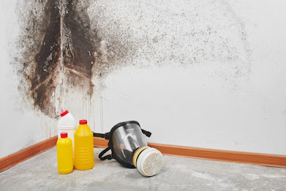 Squared Mold Removal & Remediation Simi Valley CA