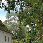 Photo n°6 de l'avis de Kirsten. fait le 19/09/2022 à 05:31 sur le  Zur Brücke à Greifswald