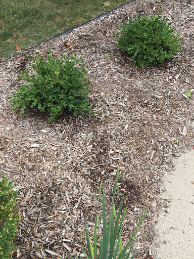 Building Materials Store «Advanced Landscape Supply», reviews and photos, 890 Rochester Rd, Clawson, MI 48017, USA