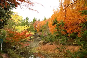 Junsai pond Park image
