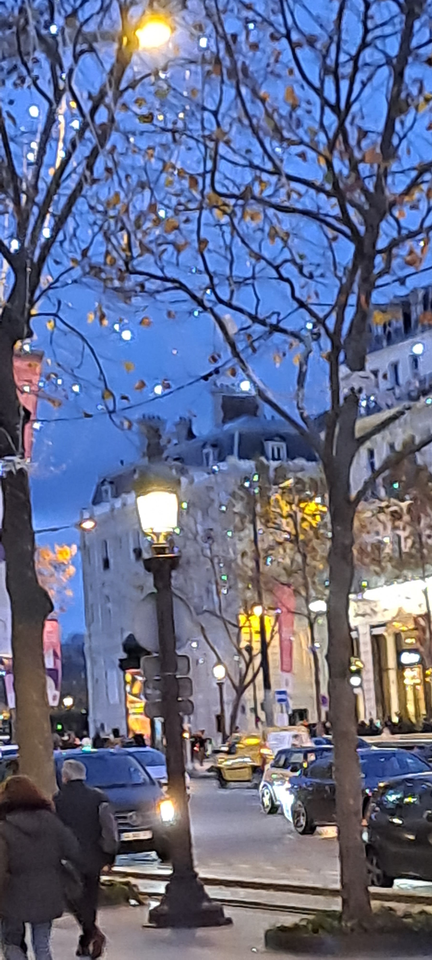 Photo n° 3 de l'avis de Alexis.L fait le 30/11/2023 à 21:17