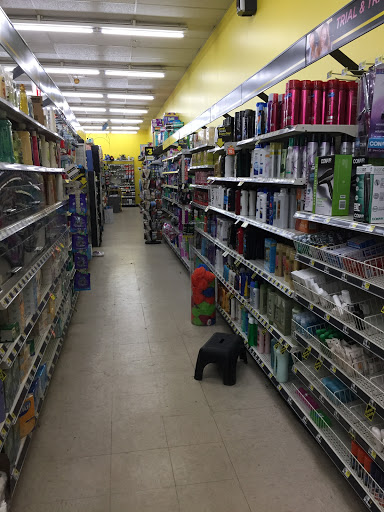 Discount Store «Dollar General», reviews and photos, 3901 Fort St, Wyandotte, MI 48192, USA