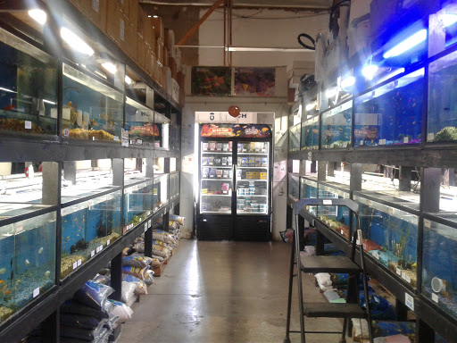 Pet Supply Store «Pet Supreme», reviews and photos, 12823 Foothill Blvd, Sylmar, CA 91342, USA