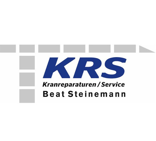 KRS Kranreparaturen / Service / Kranmontagen / Kranvermietung - Beat Steinemann