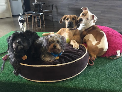 Puppy Love Dog Socialization Center & Spa
