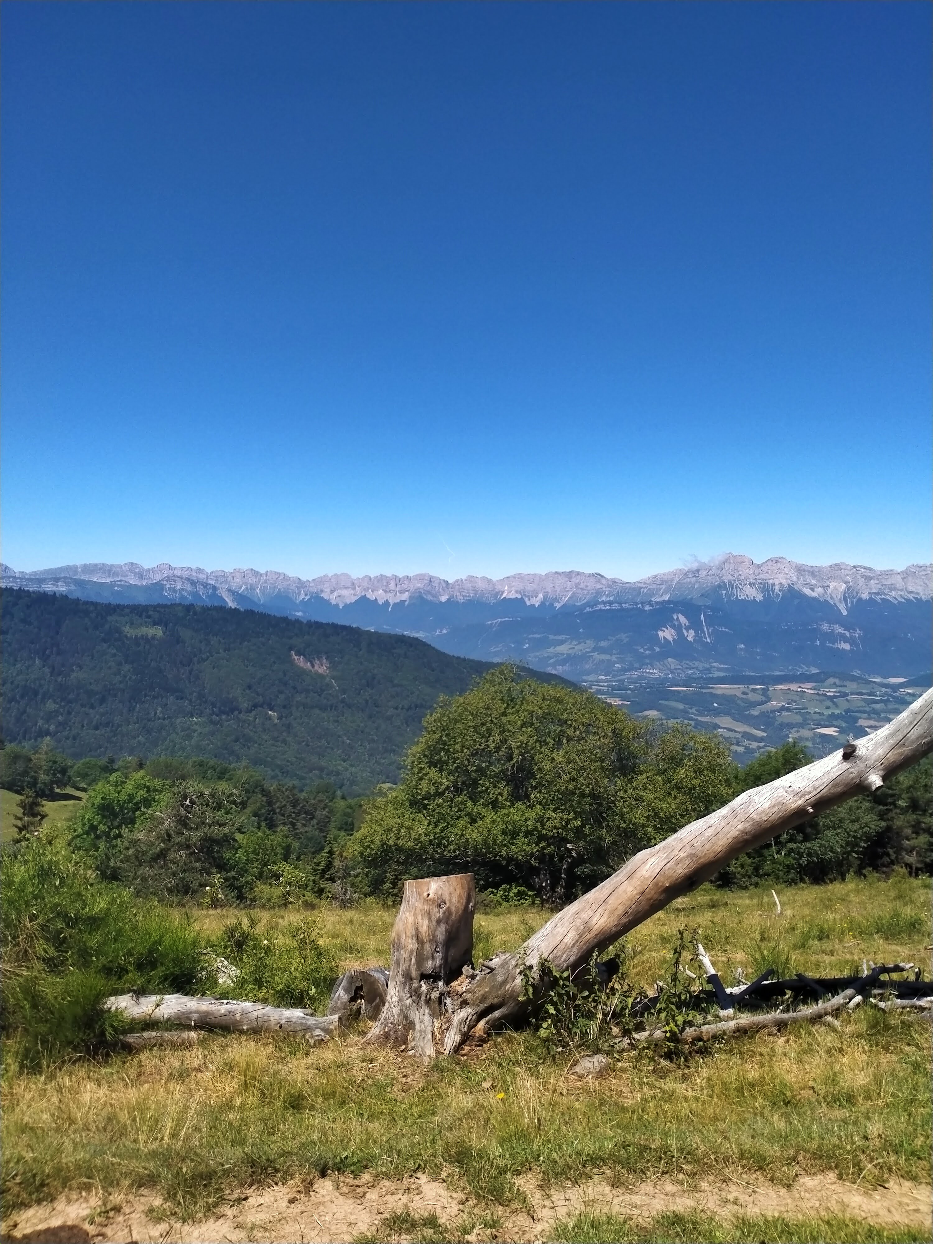 Photo n° 3 de l'avis de Luna.e fait le 15/07/2020 à 14:45