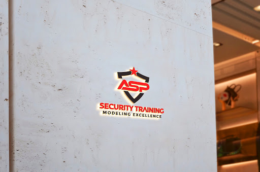 ASP Security Training