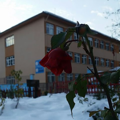 Ayvacık Atatürk Ortaokulu