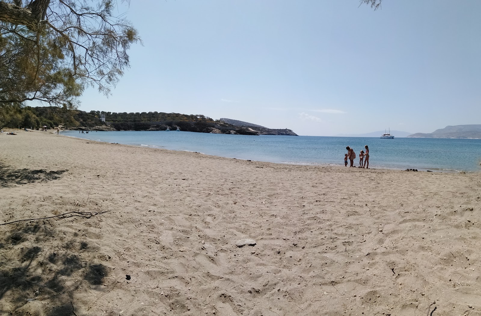 Foto van Livadi beach gelegen in een natuurlijk gebied