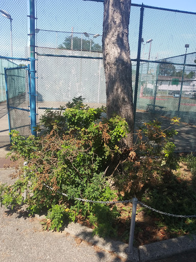 Park «Centennial Park», reviews and photos, 1 E Centennial Ave, Roosevelt, NY 11575, USA