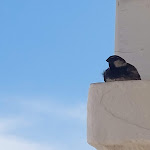 Photo n°22 de l'avis de ANTONIO.I fait le 19/06/2023 à 19:14 sur le  Veraclub Suneva Wellness & Golf à Cagliari