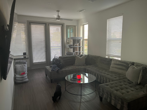 House Cleaning Service «Molly Maid of Northwest Dallas County», reviews and photos, 4466 Spring Valley Rd, Dallas, TX 75244, USA