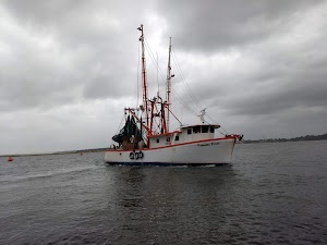 Henry C. Chambers Waterfront Park - photo 17