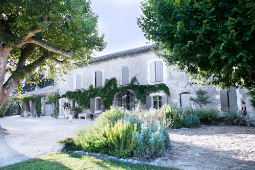 Agence immobilière Agence immobilière Arles - Mincarelli Arles