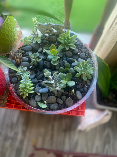 Art Museum «LSU Museum of Art», reviews and photos, 100 Lafayette St, Baton Rouge, LA 70801, USA